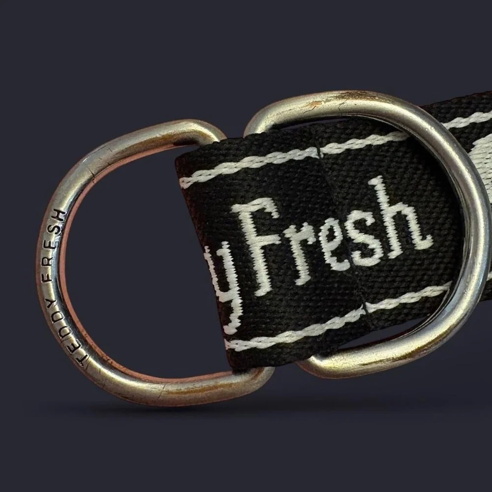 Teddy Fresh x Care Bears Collection (2021) - Canvas Belt - Picture 4 of 5